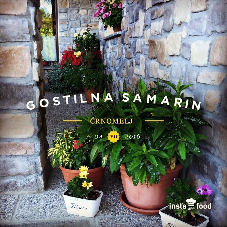 Hotel Samarin Črnomelj Exteriér fotografie